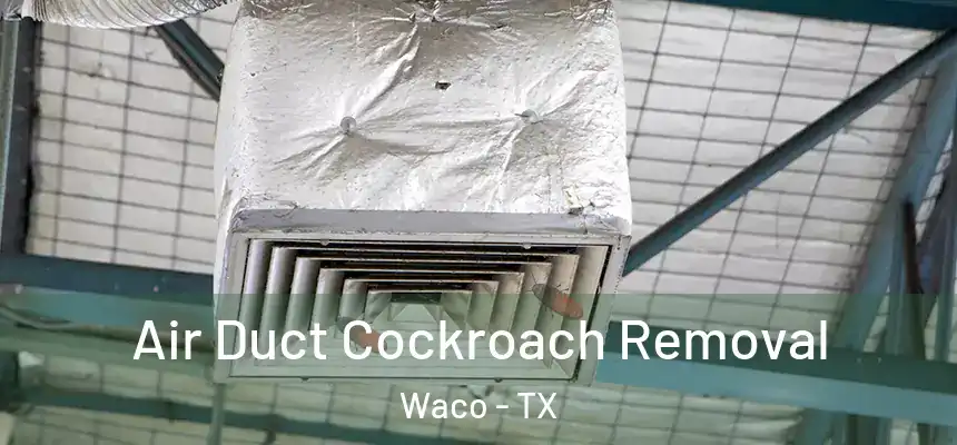  Air Duct Cockroach Removal Waco - TX