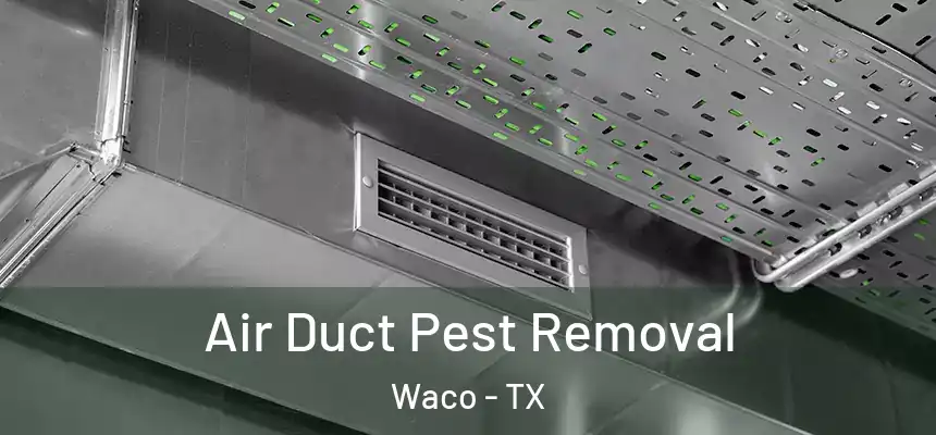  Air Duct Pest Removal Waco - TX