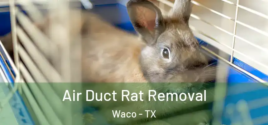  Air Duct Rat Removal Waco - TX
