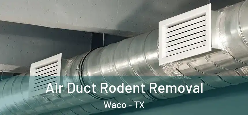  Air Duct Rodent Removal Waco - TX