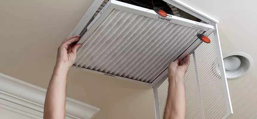 Preventive Cockroach-Proofing for Ducts in Waco