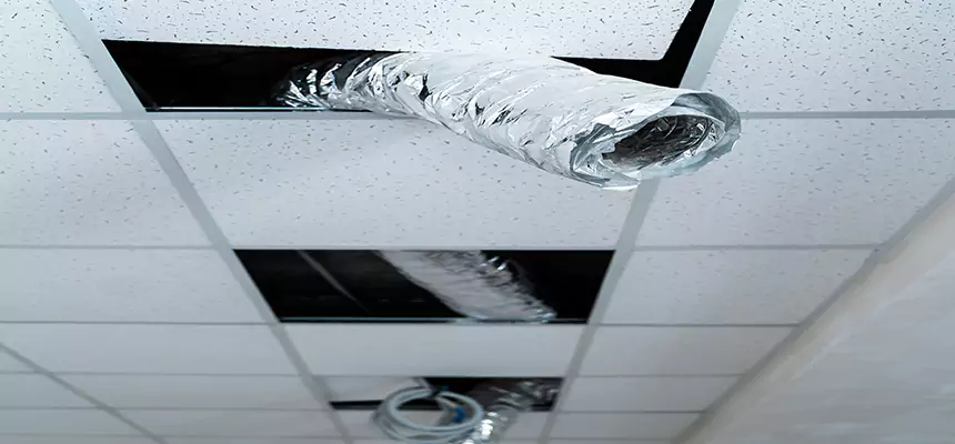 Affordable HVAC Sanitizing After Pest Removal in Waco