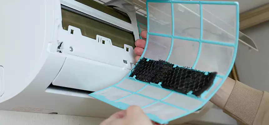 Gentle Ductwork Odor-Control Pet Dander Duct Cleaning in Waco, TX