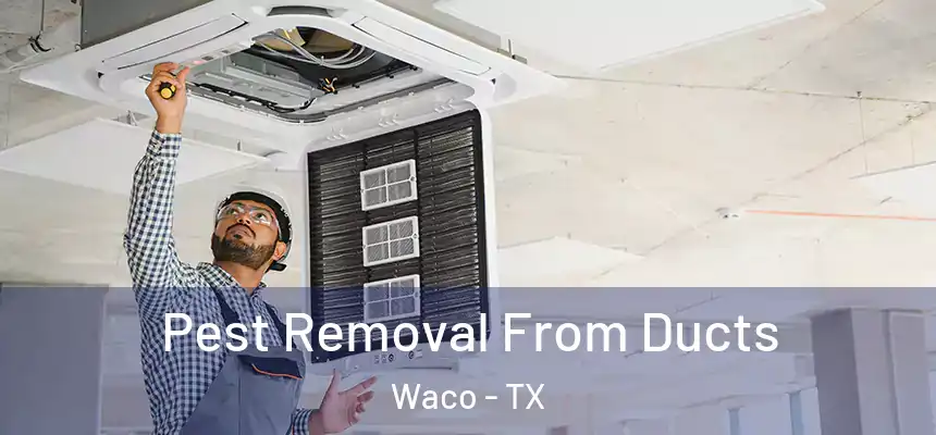  Pest Removal From Ducts Waco - TX