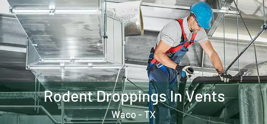  Rodent Droppings In Vents Waco - TX