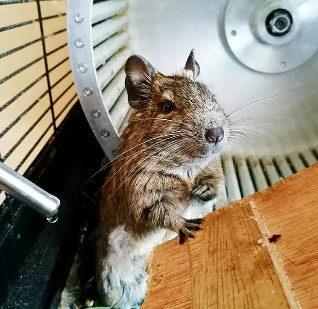 Why Homeowners & Businesses Trust Us Waco, TX?