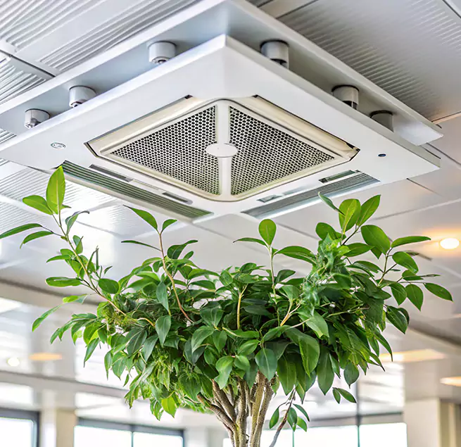 Why Homeowners & Businesses Trust Us in Waco, TX?