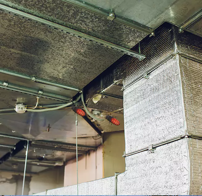 Why Homeowners & Businesses Trust Us Waco, TX?