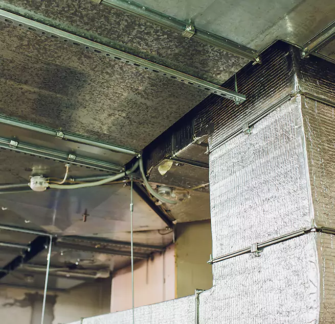 Why Homeowners & Businesses Trust Us in Waco, TX?